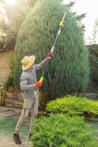Best Sod Installation  in Choteau, MT
